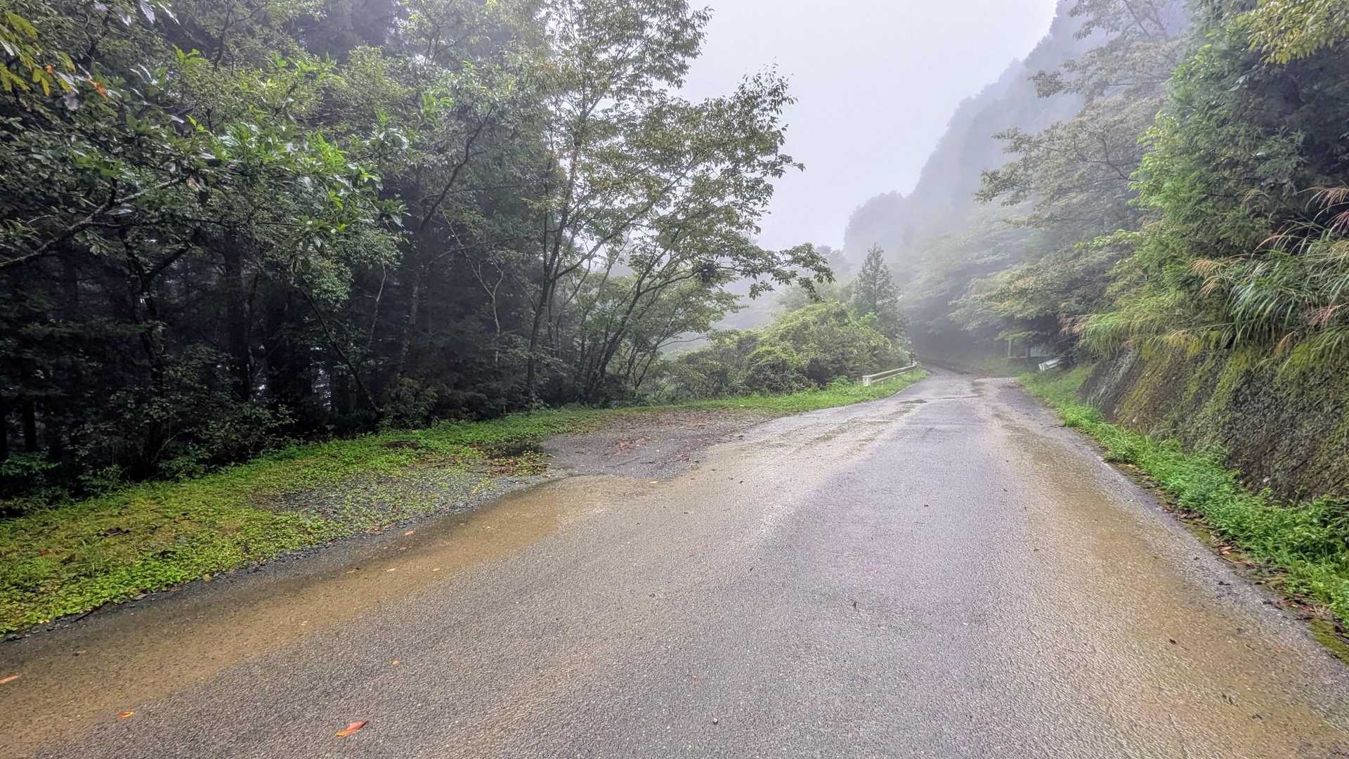 数台は駐車できそうです