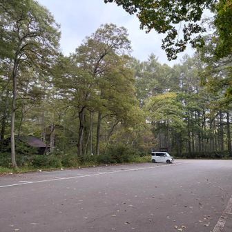 戸隠森林植物園の駐車場に停めます
無料で奥社まではそれ程遠くありませんが、高妻山登山口までは40 分以上かかります
