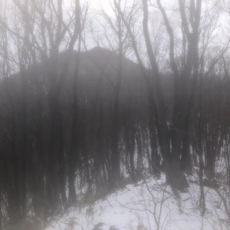 登山口の北側

この後のりすけさんとバタリ✨
最近はよく会う🙌

カメラは治るかな？

暖かい三角山でした。
ありがとうございました！