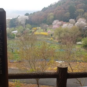 とちぎのふるさと田園風景百選認定地①