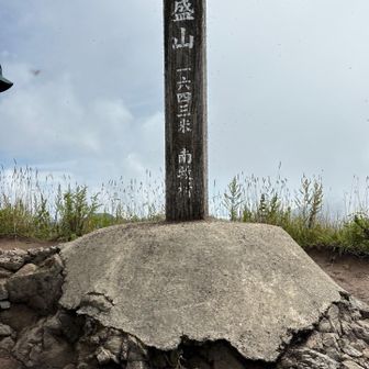 羽アリ🐜がウジャウジャ😱😱😱