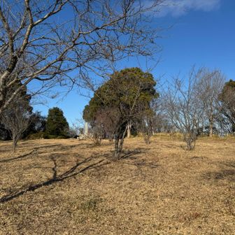 山頂は広く開放的です