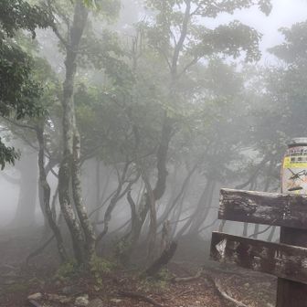 山頂は幻想的、ミストたっぷり😶‍🌫️
休憩の後、雨になりそうなので下山開始。