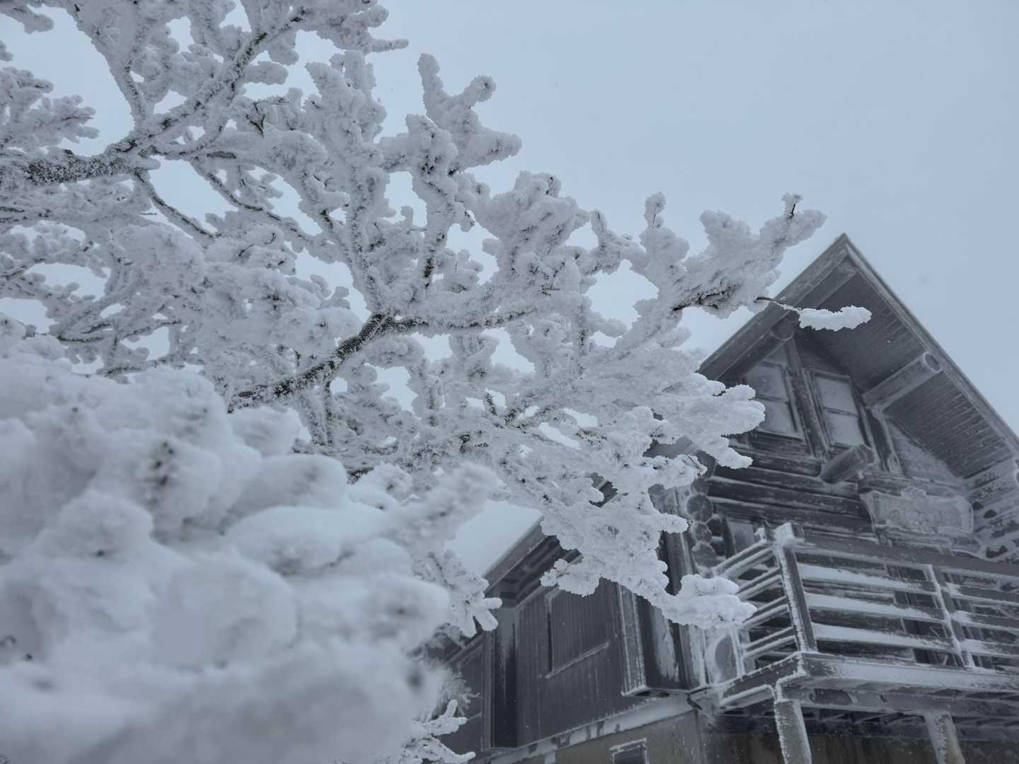 明神平-明神岳 往復コースの写真