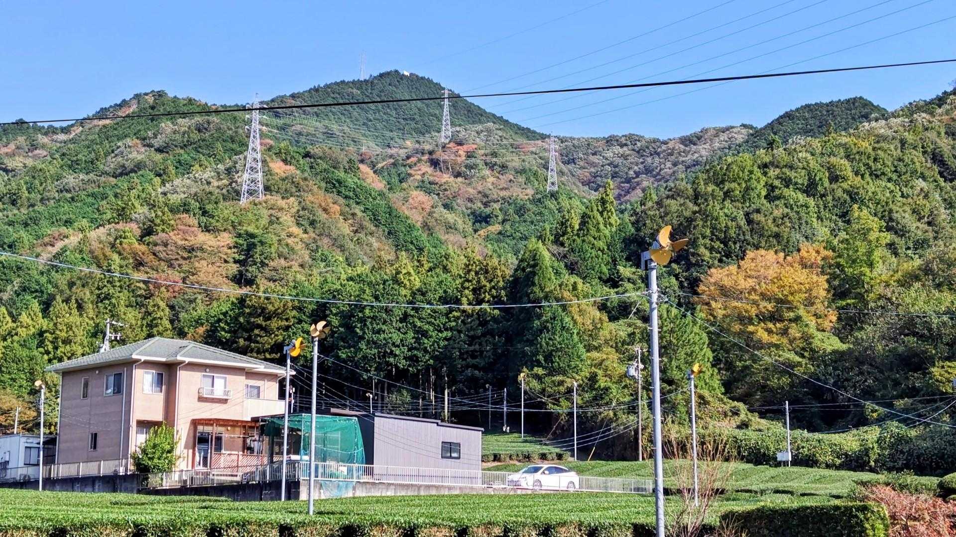振り返って
烏岳