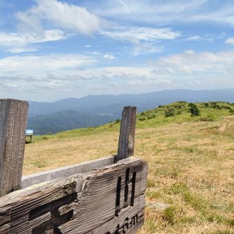 平日(金曜)とはいえ、だーれもいない天山山頂は初めて。
下界が暑すぎて警戒中？それとも台風警戒中？