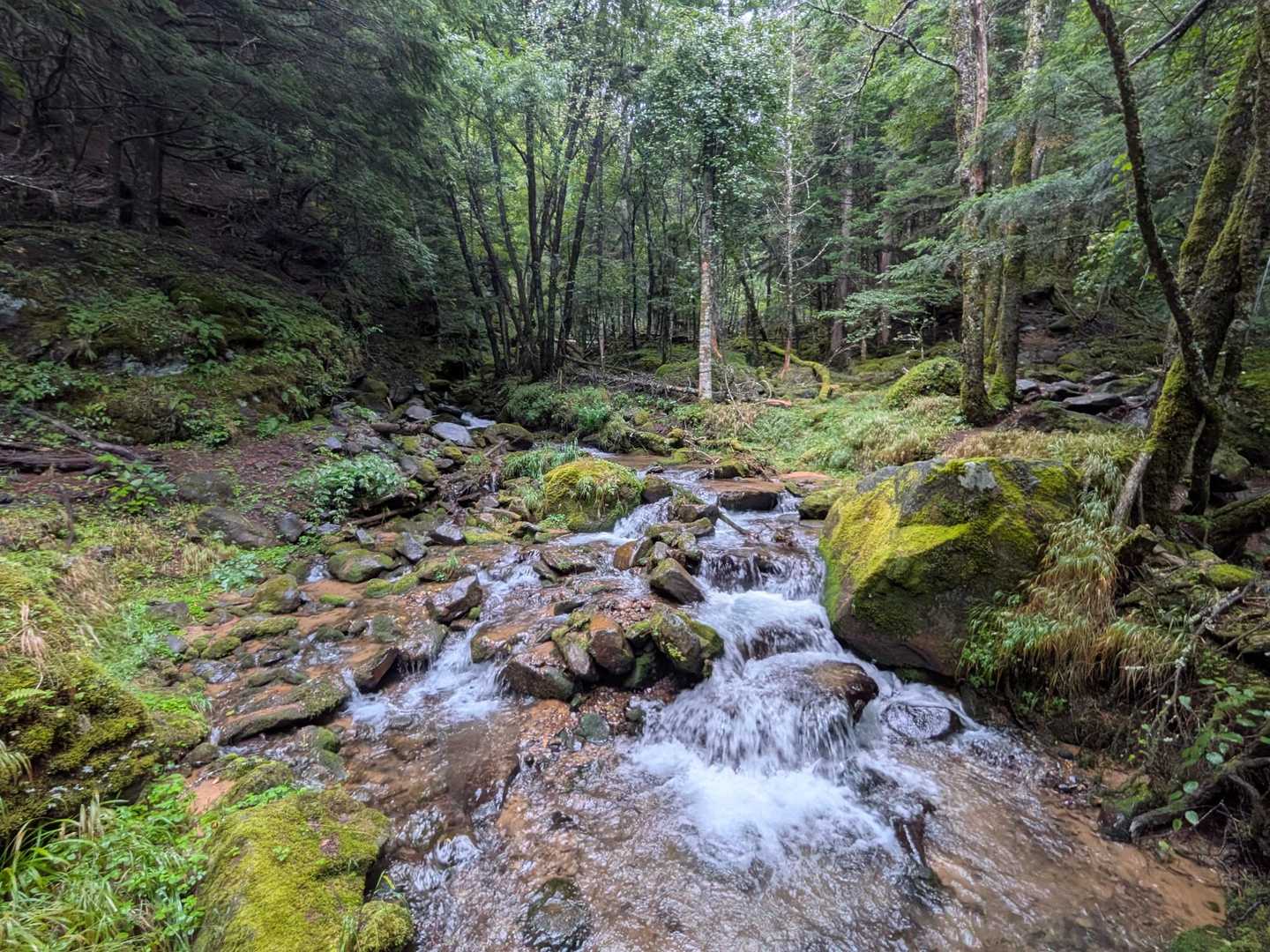 美濃戸口登山口-美濃戸登山口-赤岳-地蔵ノ頭-堰堤広場 周回コースの写真