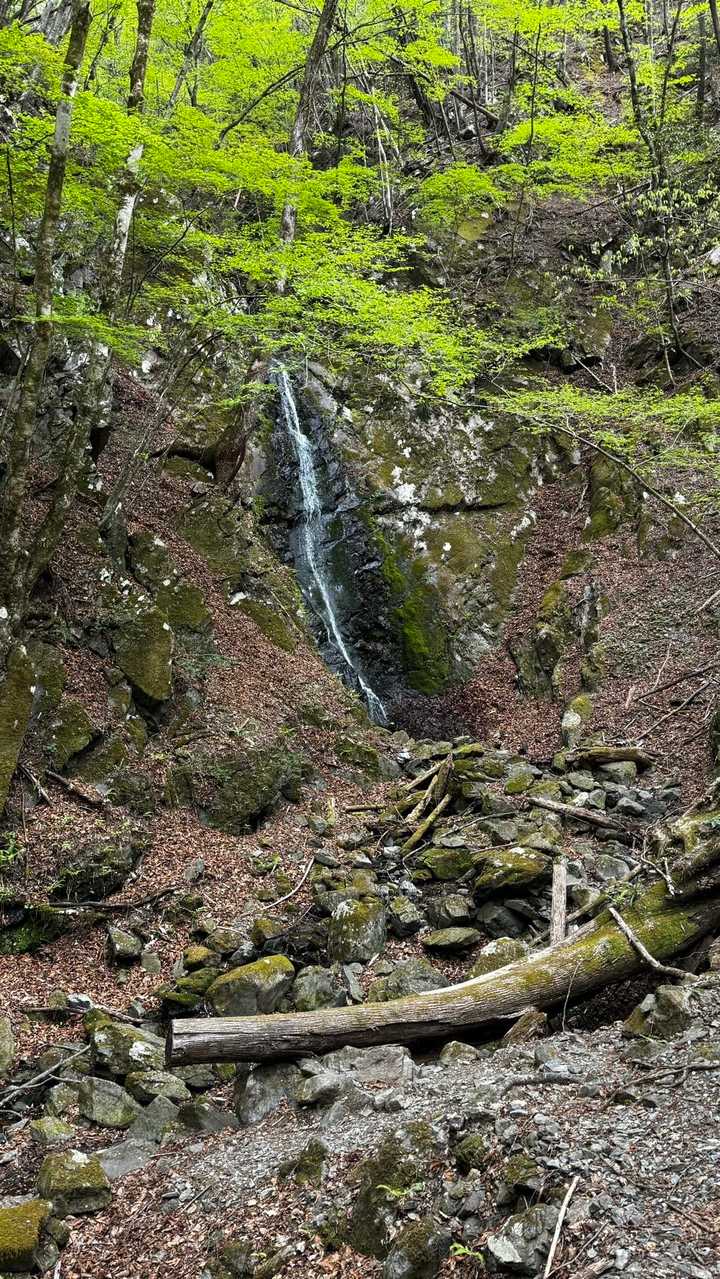 川苔山・梶尾根縦走 の写真 22