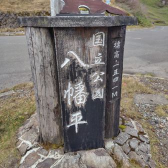 ここから出発👣