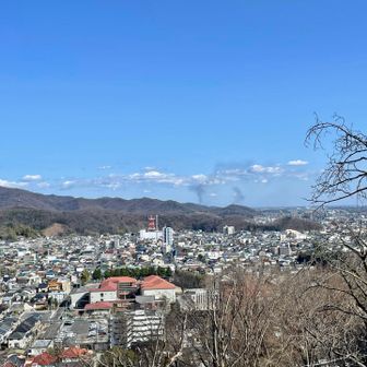 今日は渡良瀬遊水地のヨシ焼きやってて煙が見る👀