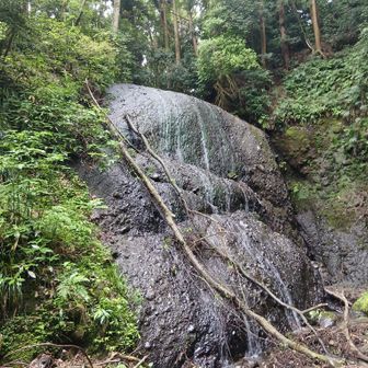 なかなか独特の滝だね　顔描きたくなる系？　水が岩を削って出来た滝というより水が岩を削れなくて上を滑り落ちてる感じ？　レキ岩層ってそんなに固いんだ