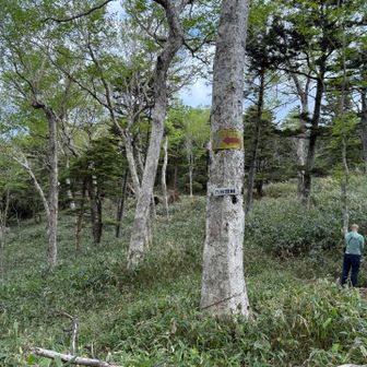 六林班峠
