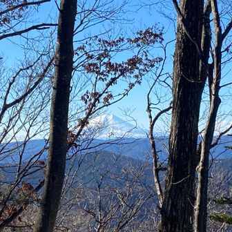 そのまま尾根筋を歩いて大岳山へ向かっています🚶🏻