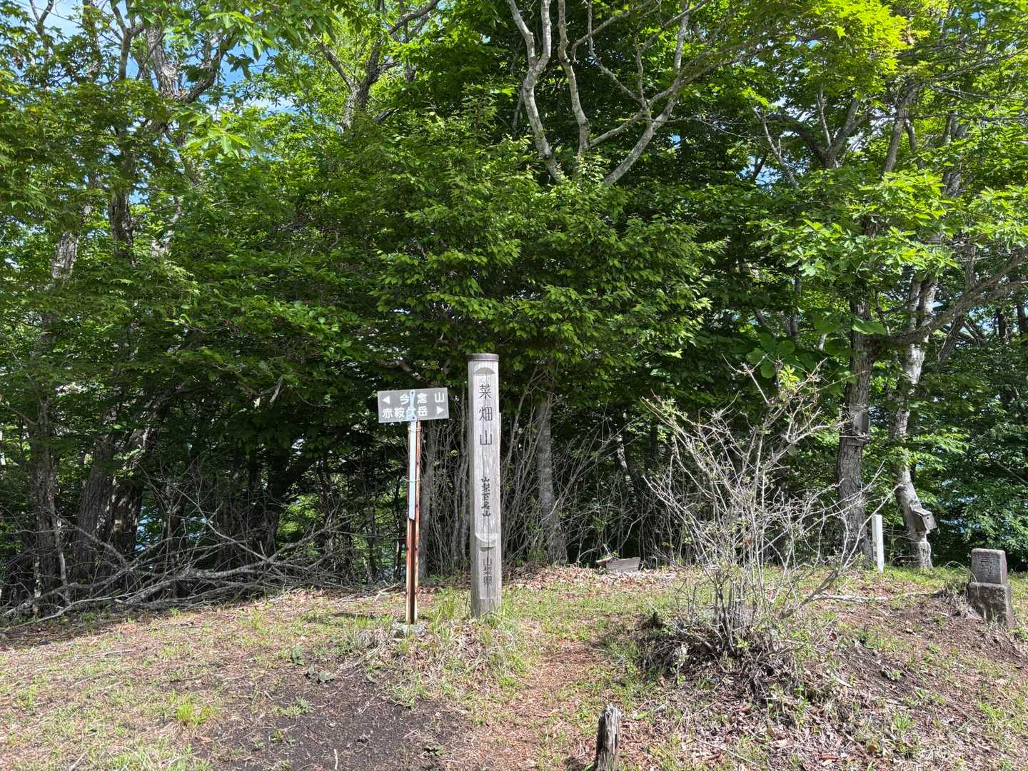菜畑山山頂（II）