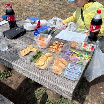 写真撮る余裕もなく、尺岳エイドで満喫🤤
コーラがこんなに美味しいなんて‼️