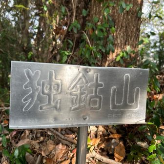 独鈷山山頂‼️周りは原生林が残されている