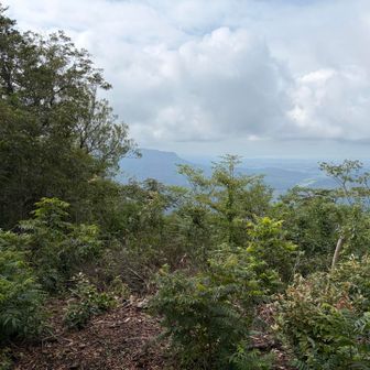 山頂から