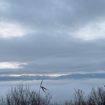 大峰方面の雲海