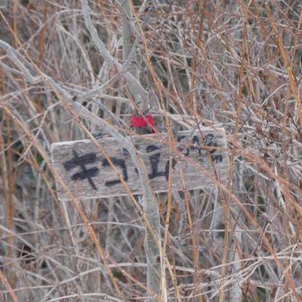 キゴ山get！
ふうあみみちゃんの山頂マークピッタシでした😉