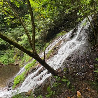 白岩の滝②幅4.5m落差8.5m

キワキワで見れる