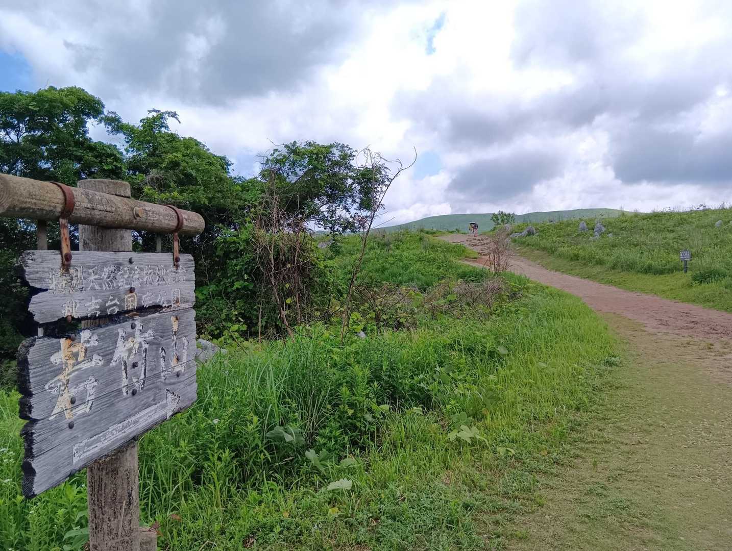 若竹山 周回コースの写真