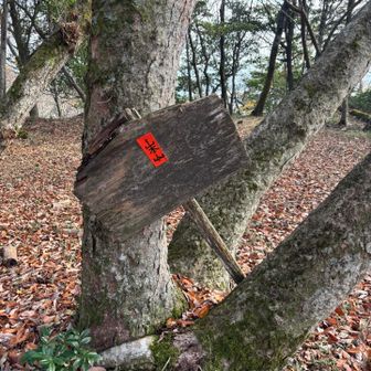 山本山の山頂標ってこれ？