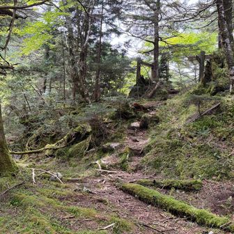 ここで双門滝ルート終了。
まだ中間地点まで来てないのに、かなり疲れた。

次は弥山⇆八経ヶ岳の一般登山道区間。
狼平避難小屋から一気に弥山小屋、そして八経ヶ岳へ向かうが、脚には疲れがしっかり残っていた。