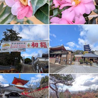 ツバキ。葉っぱのギザギザがはっきり多い。

サザンカ。葉っぱのギザギザははっきりしない。少ない。

中山寺。

夫婦岩のご近所でストレッチ。