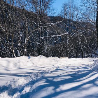 登山口から駐車場までのスーパーロード歩き