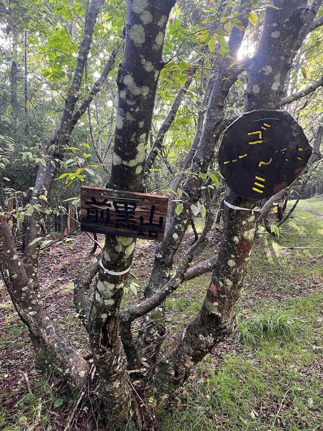 前黒山 往復コースの写真
