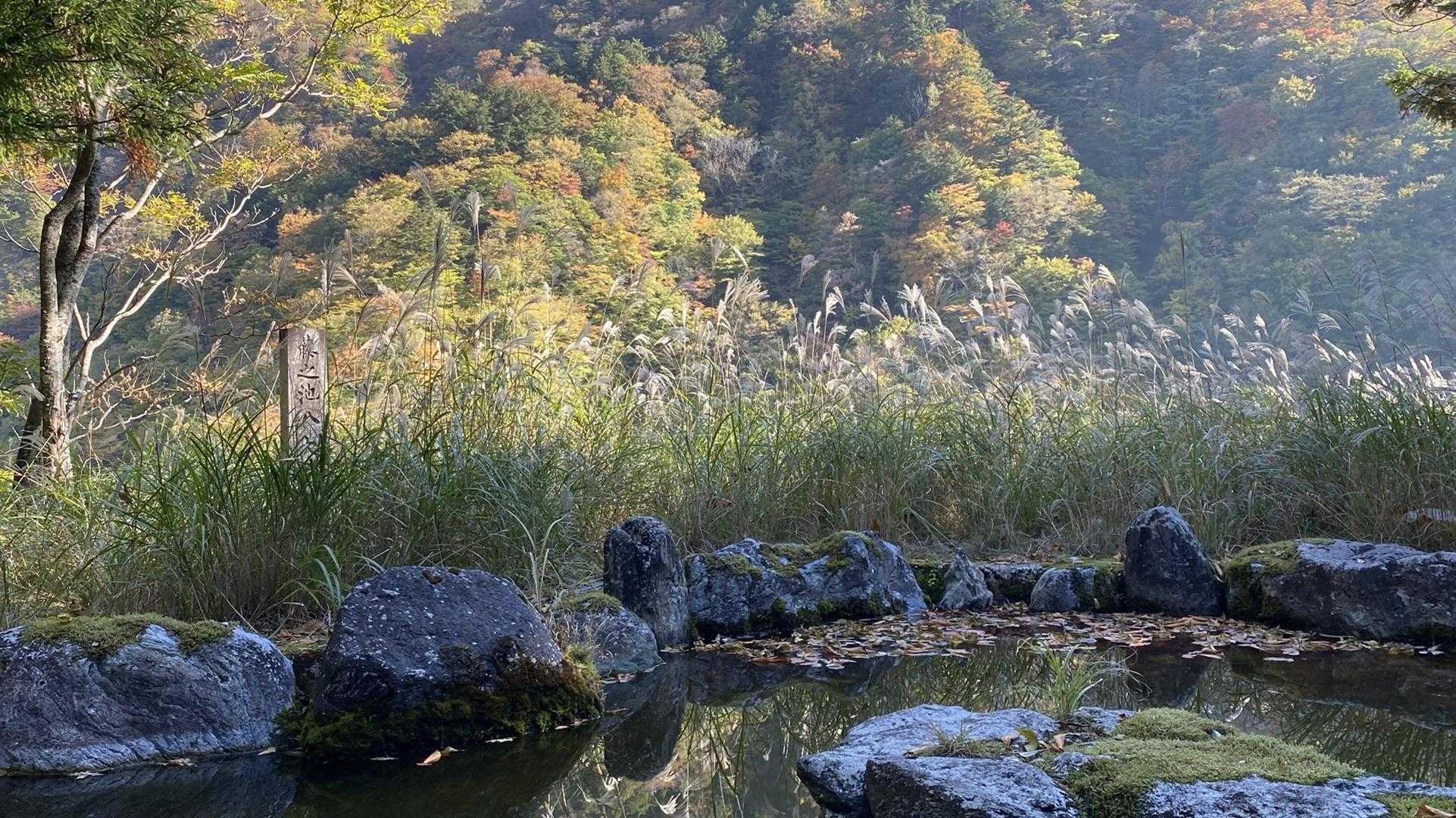 一ノ森-槍戸山 往復コースの写真