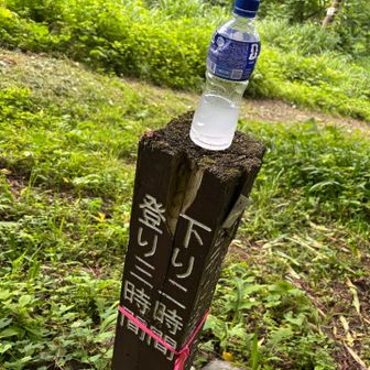 はい🙂‍↕️仰せの通り、
登り3時間、下り2時間でした👍