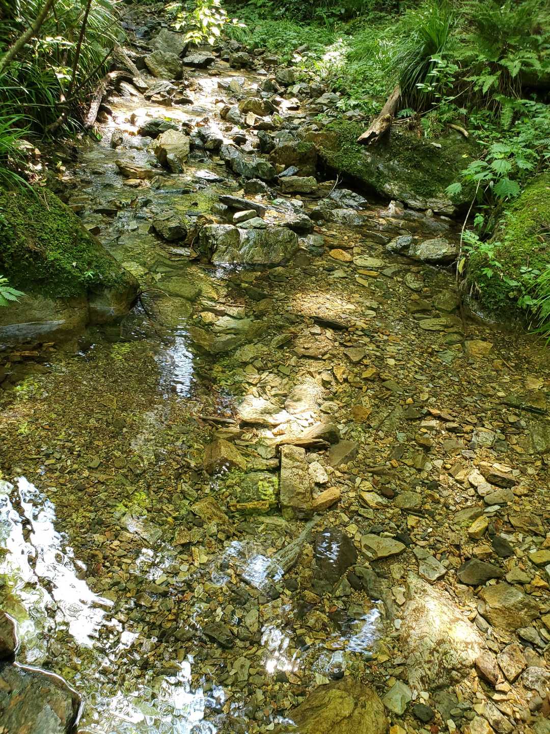 水が綺麗✨