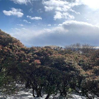 山頂晴れてきた〜