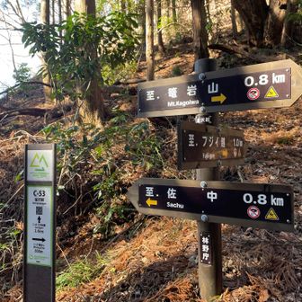 釜沢越です

少し腹ごしらえ🥖

ここから篭岩山への行程、
踏み跡や目印が少なめでした

