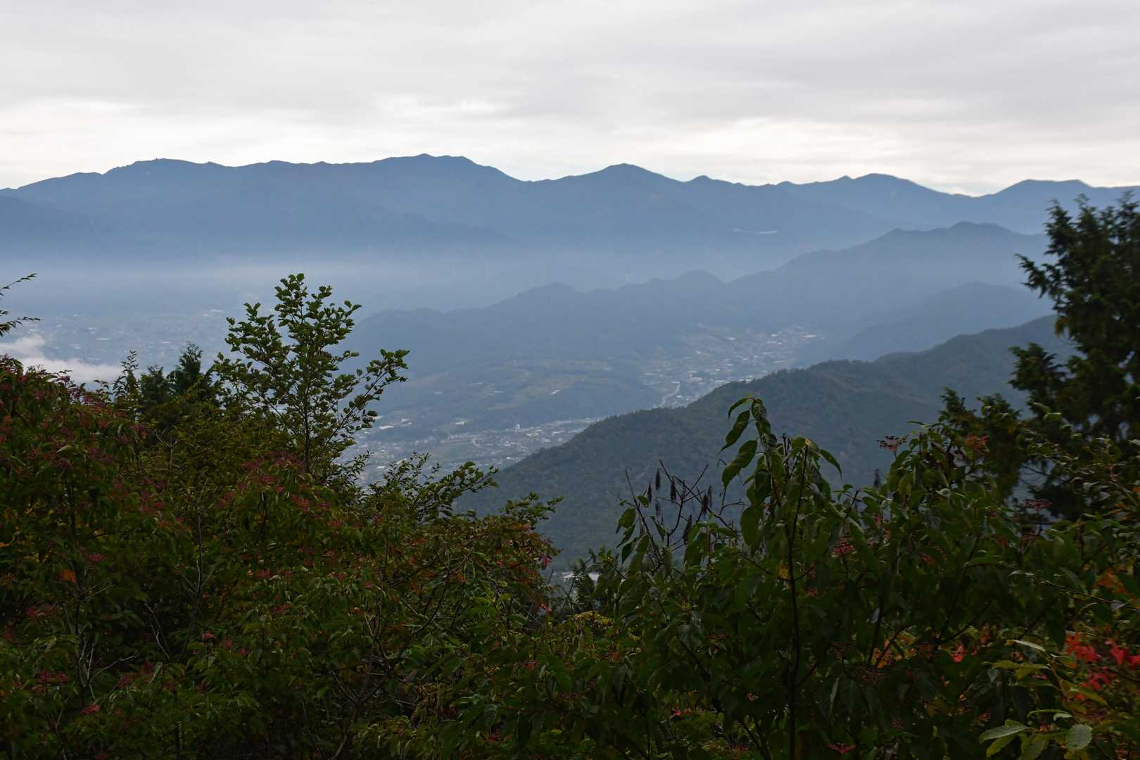 朝の景色。