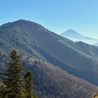 天狗棚山では隠れていた富士山もまた、見えるようになって来る