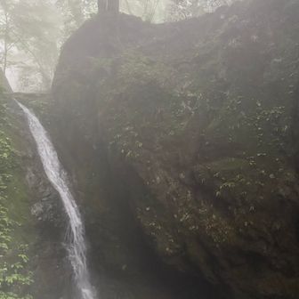 何かが上から出そう👺