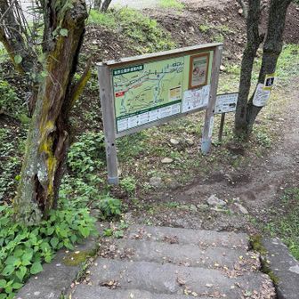 豆腐屋さんからバスに乗る選択もあったのですが、コンディションが回復してきたので、駅まで歩くことにしました…この道、好きです♪
