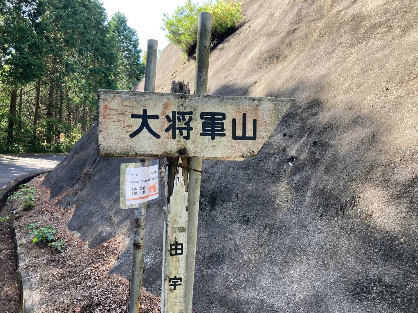 駐車場から車で移動して山頂すぐ下まで
ここの道の隅の広くなってるところに1台は停められます