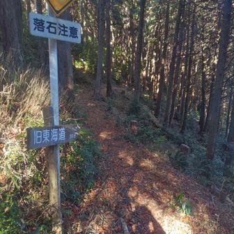 ここをすぐ尾根に上がって長沢方面へ。