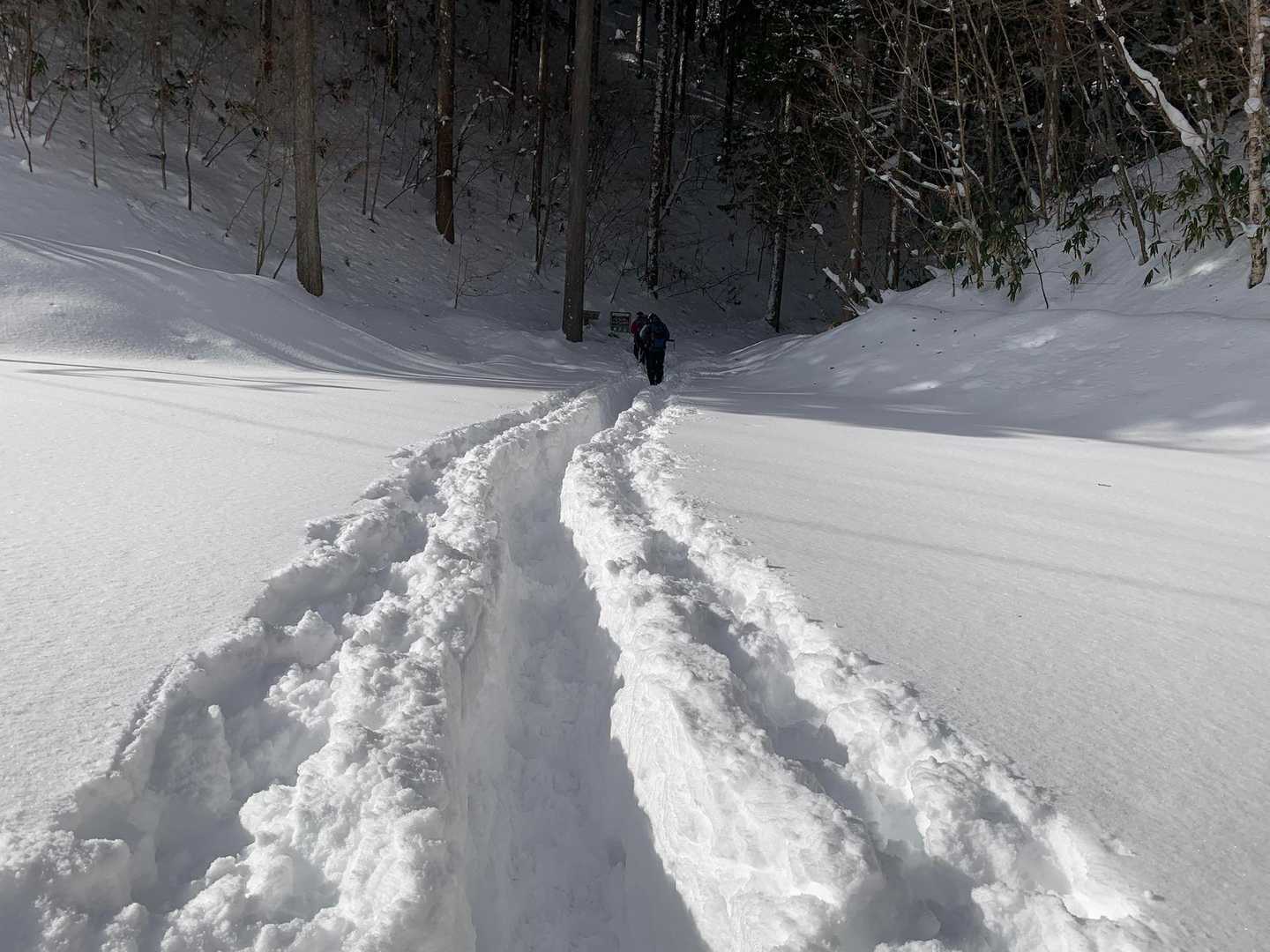 ここからようやく登山口