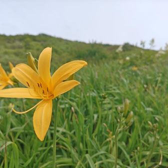 無事下山してきました

この時間から登っていく方もちらほら
夕方からは天気も崩れたので、大丈夫だったかちょっと不安です
声掛けすべきか、迷います、、、