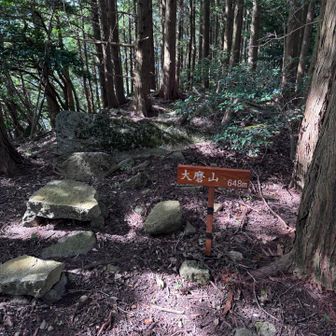 大麿山
どなたかが左に石で椅子を作ってた