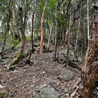 直登の激坂を登り💦