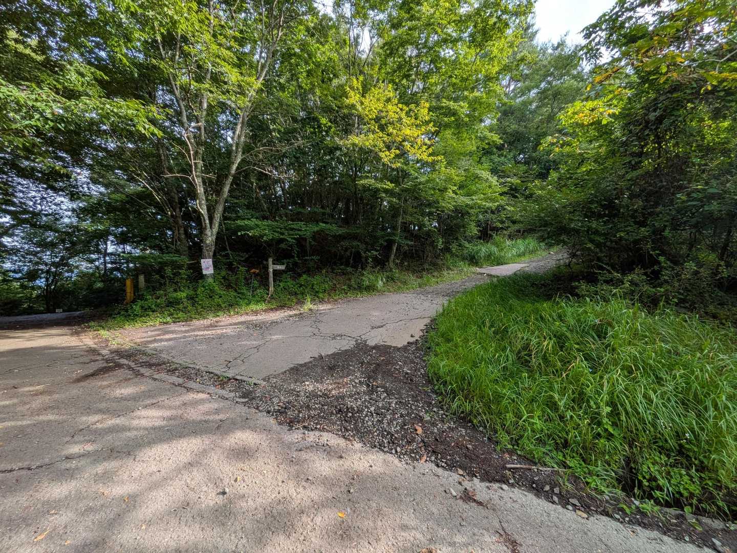 今日は軽めなので
ちょっと遅めスタート
駐車場は、登山口脇に5台ほど駐められるスペースがあります