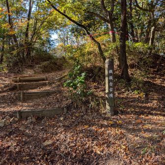 旗振台展望所へ