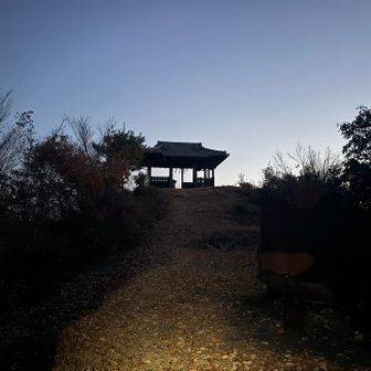 山道に入って12分で最初のピークに到着。少し明るくなってきた。