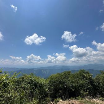 富士山は見えず。でも美しい眺めでした！