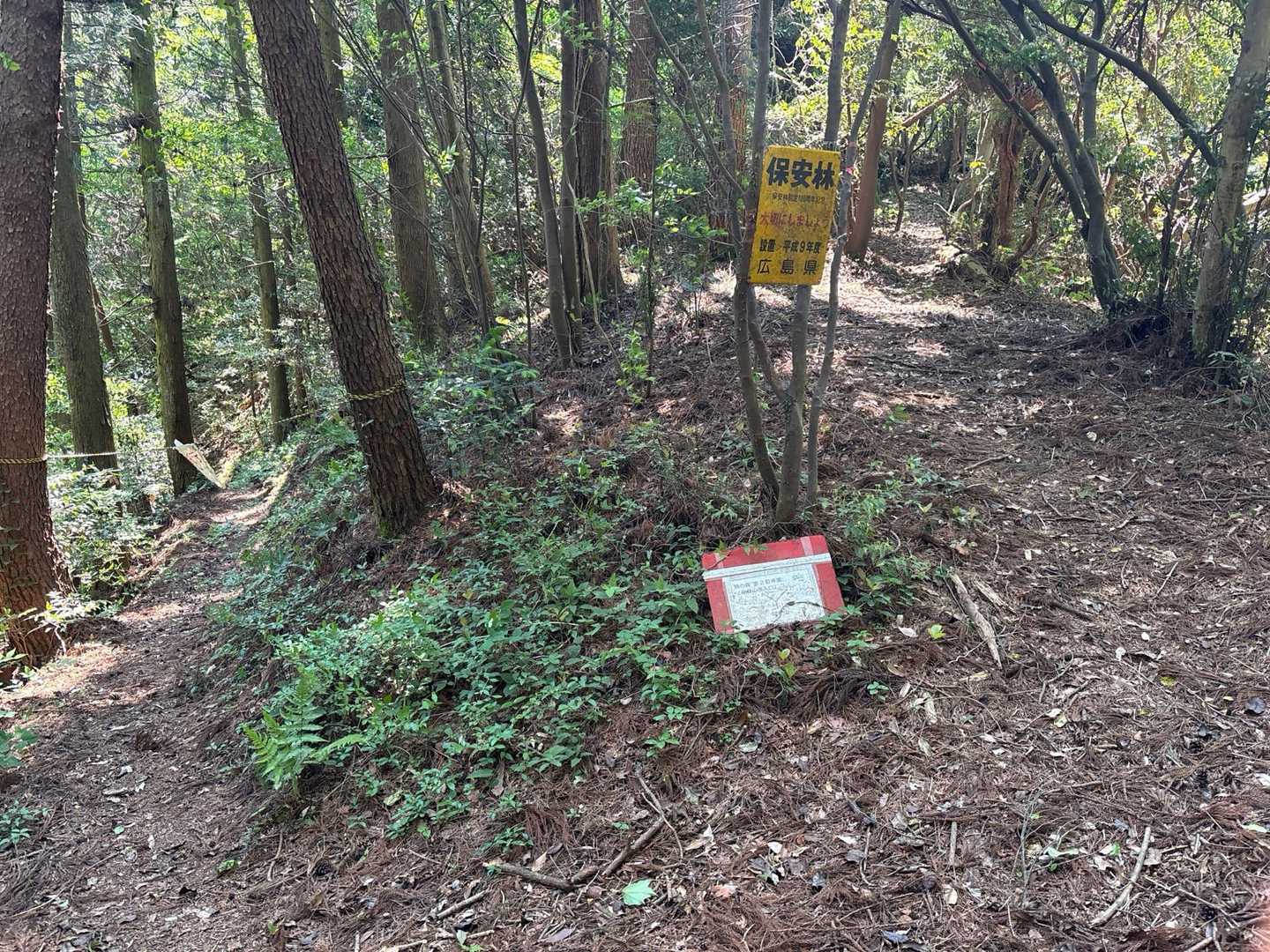 向山に行きます。
通行止めの案内が有りますが、途中から第一駐車場に降りるルートが通行止めです
